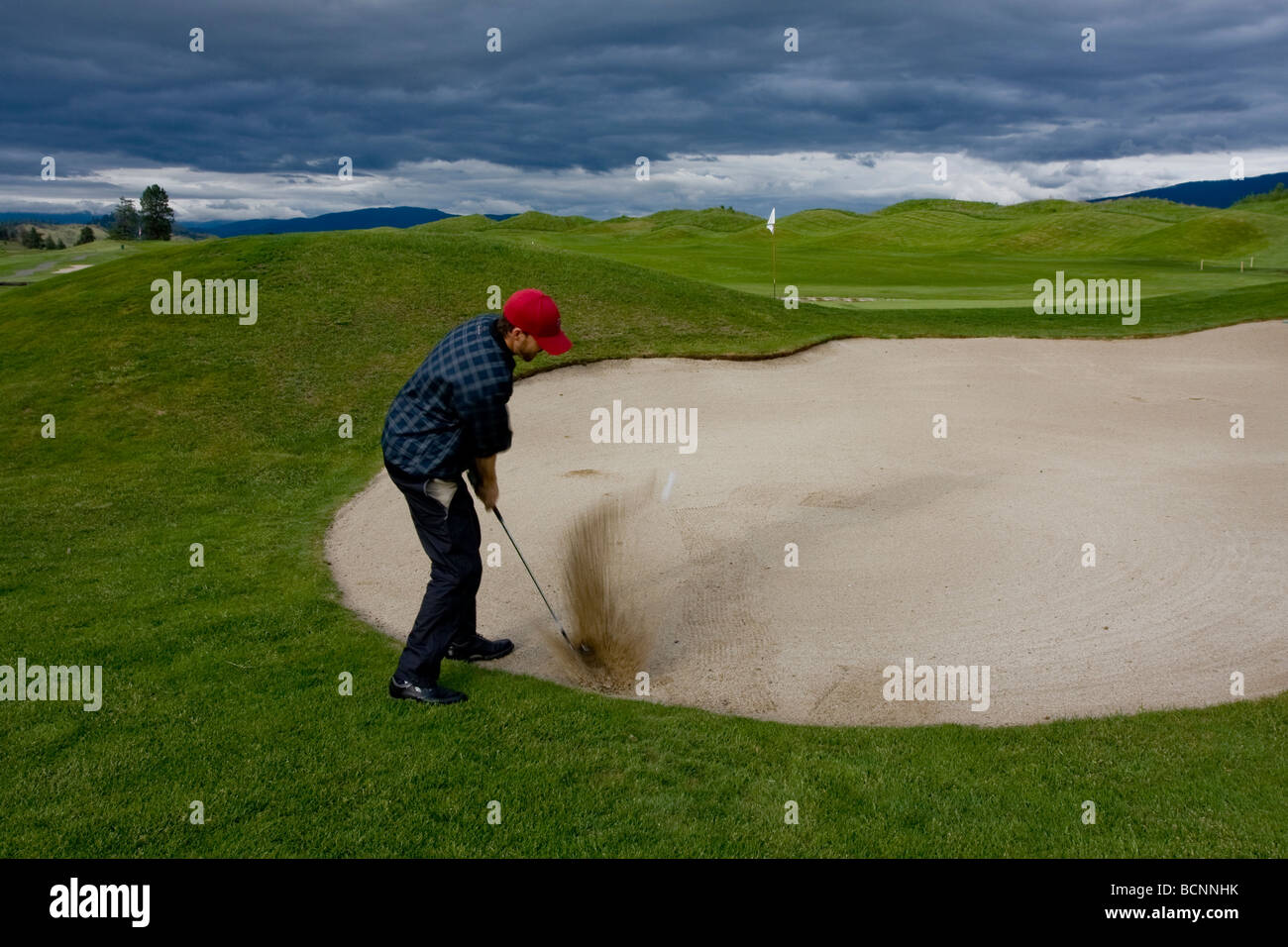 Un giocatore di golf di colpo di sabbia su un Okanagan golf in Canada . La palla è visto volare attraverso la sabbia spruzzare verso il verde. Foto Stock