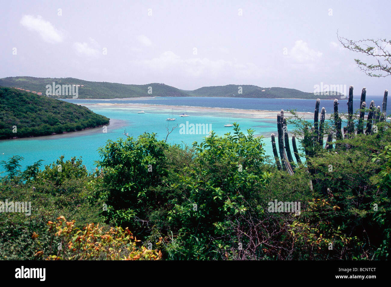 Angolo di Alta Vista di una baia e Coral Reef Ensenada Honda Culebra Island Puerto Rico Foto Stock