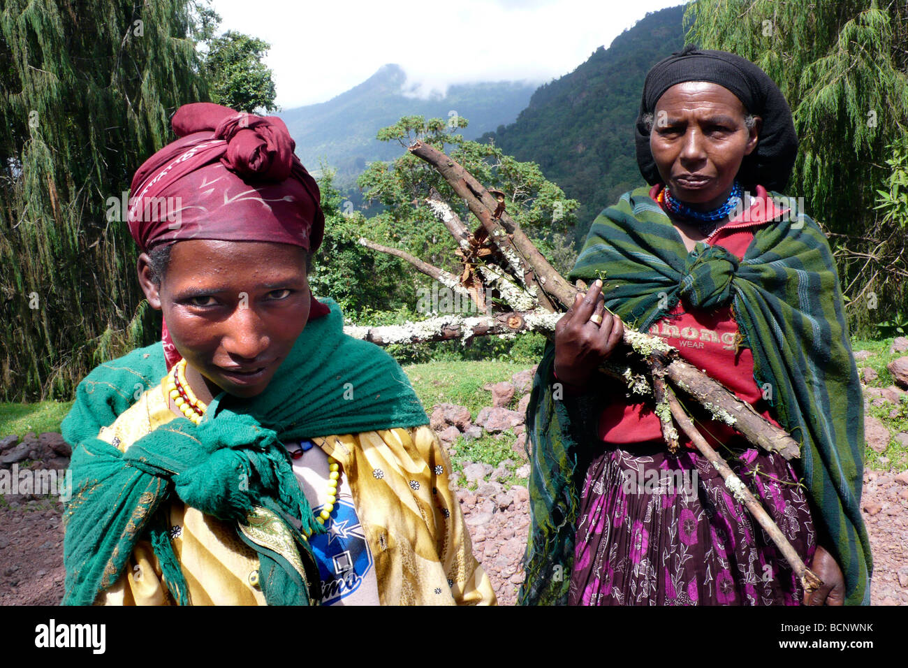 Altopiano di balla Etiopia Foto Stock