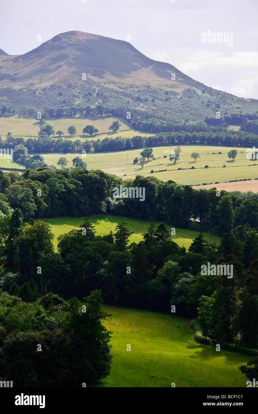 Scotts vista delle colline Eildon paesaggio verticale Foto Stock