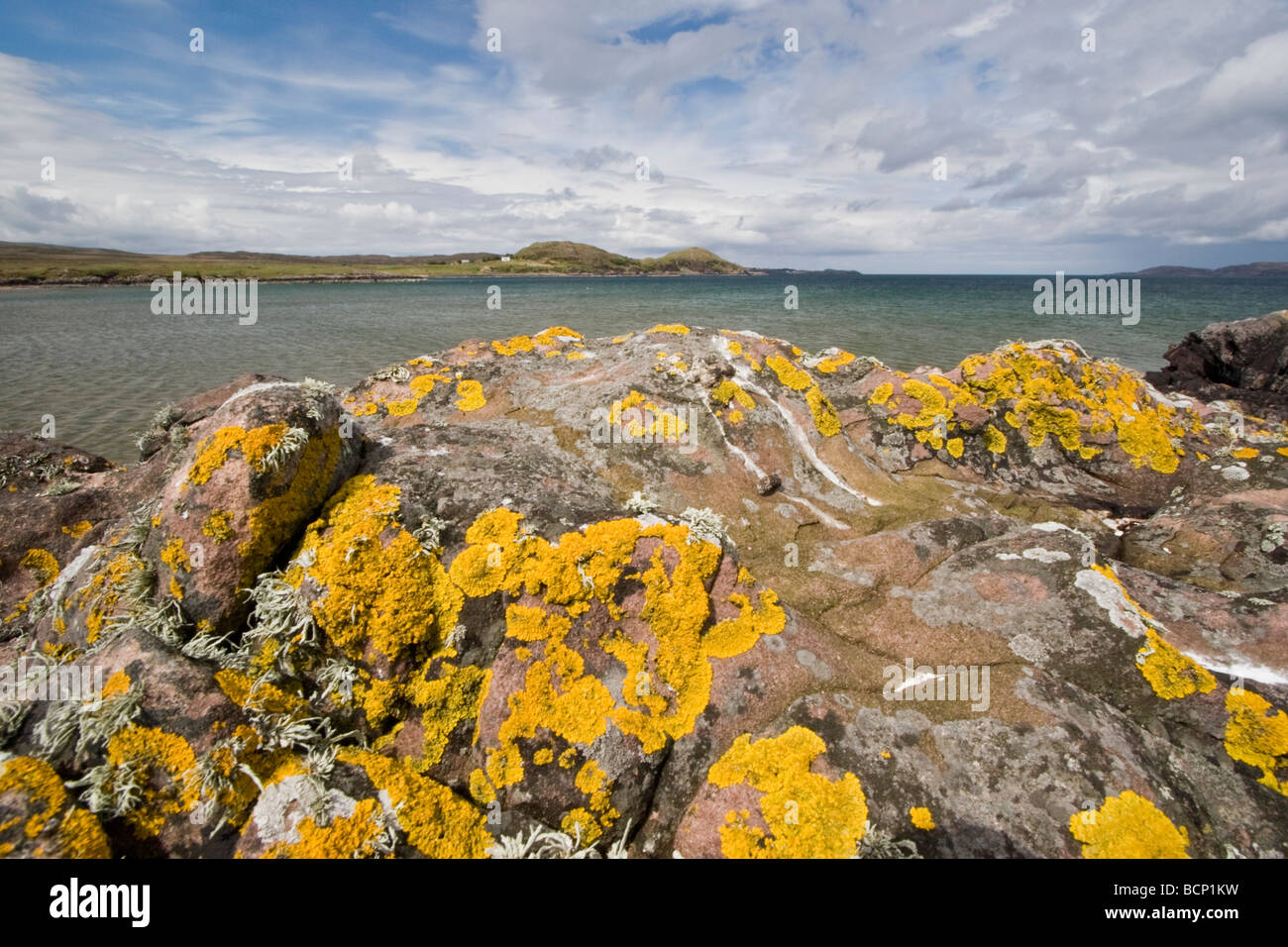 Rocce e licheni, Gaineamh Smo, vicino a Poolewe Foto Stock