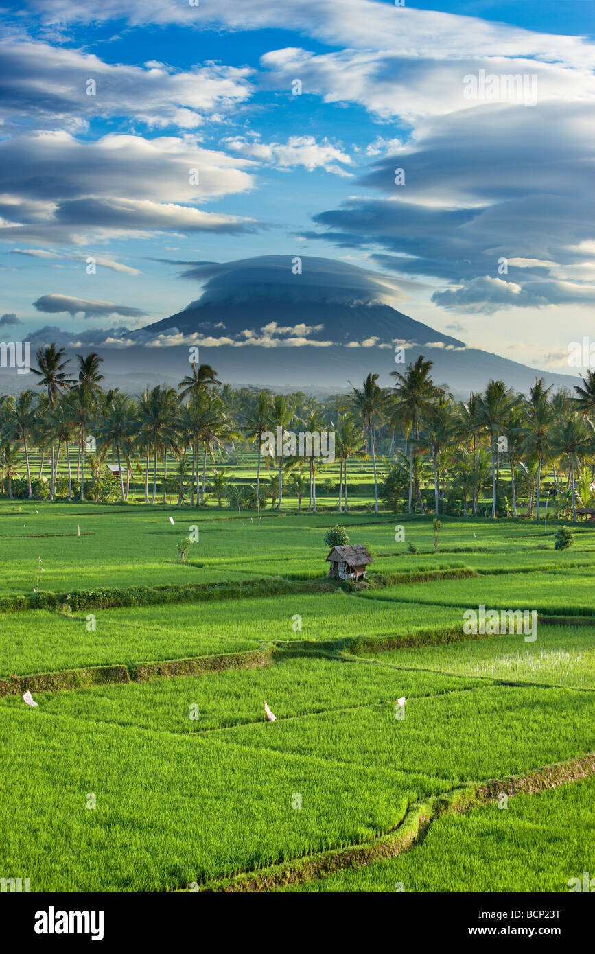 Un drammatico cielo sopra il picco vulcanico di Gunung Agung e i campi di riso, nei pressi di Ubud, Bali, Indonesia Foto Stock