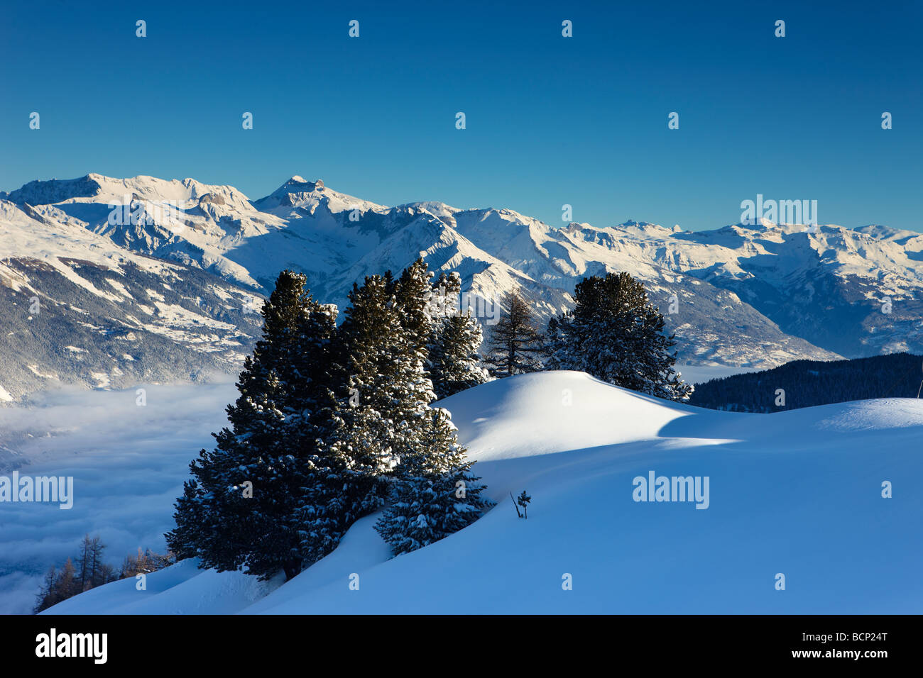Un fresco snowfalll su pendii sopra il villaggio alpino di La Tzoumas,con la Valle del Rodano al di là, Vallese, Svizzera Foto Stock