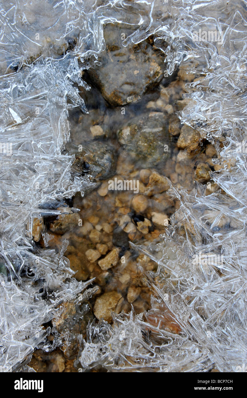 Forme di ghiaccio su una pozzanghera smerigliato REGNO UNITO Foto Stock
