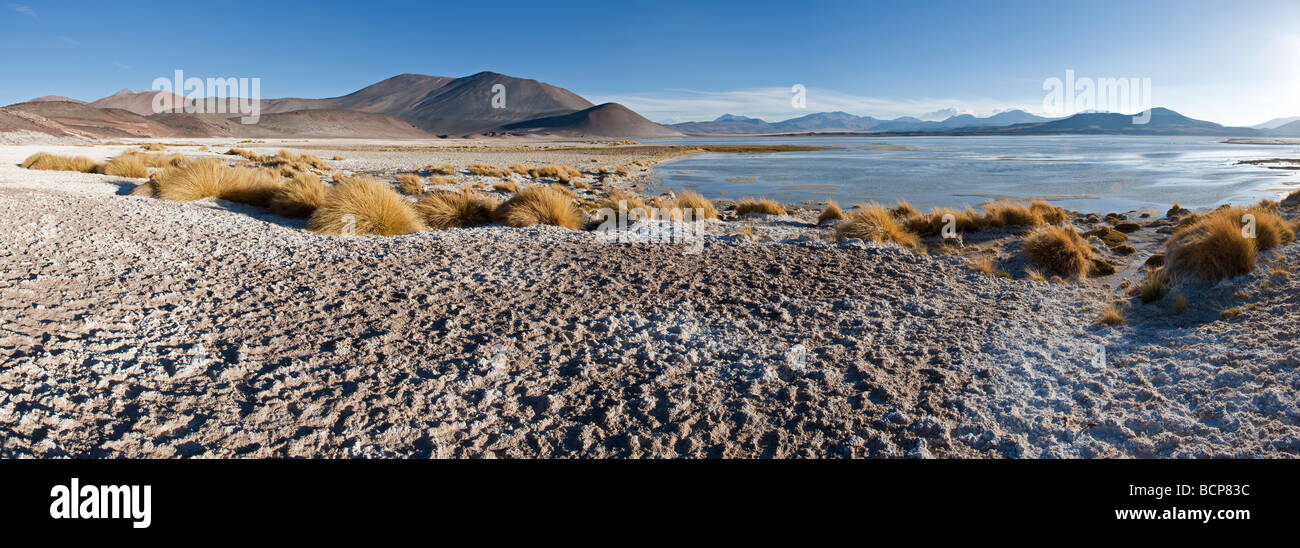 Los Flamencos riserva nazionale, il Deserto di Atacama, Norte Grande Regione di Antofagasta, Cile, Sud America Foto Stock