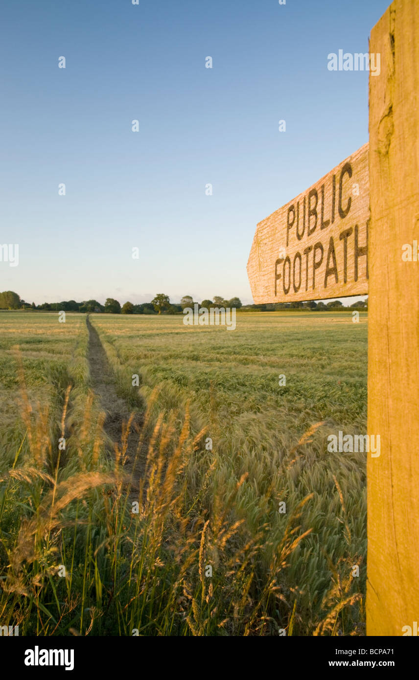 Sentiero pubblico segno rivolto attraverso un campo di orzo Foto Stock
