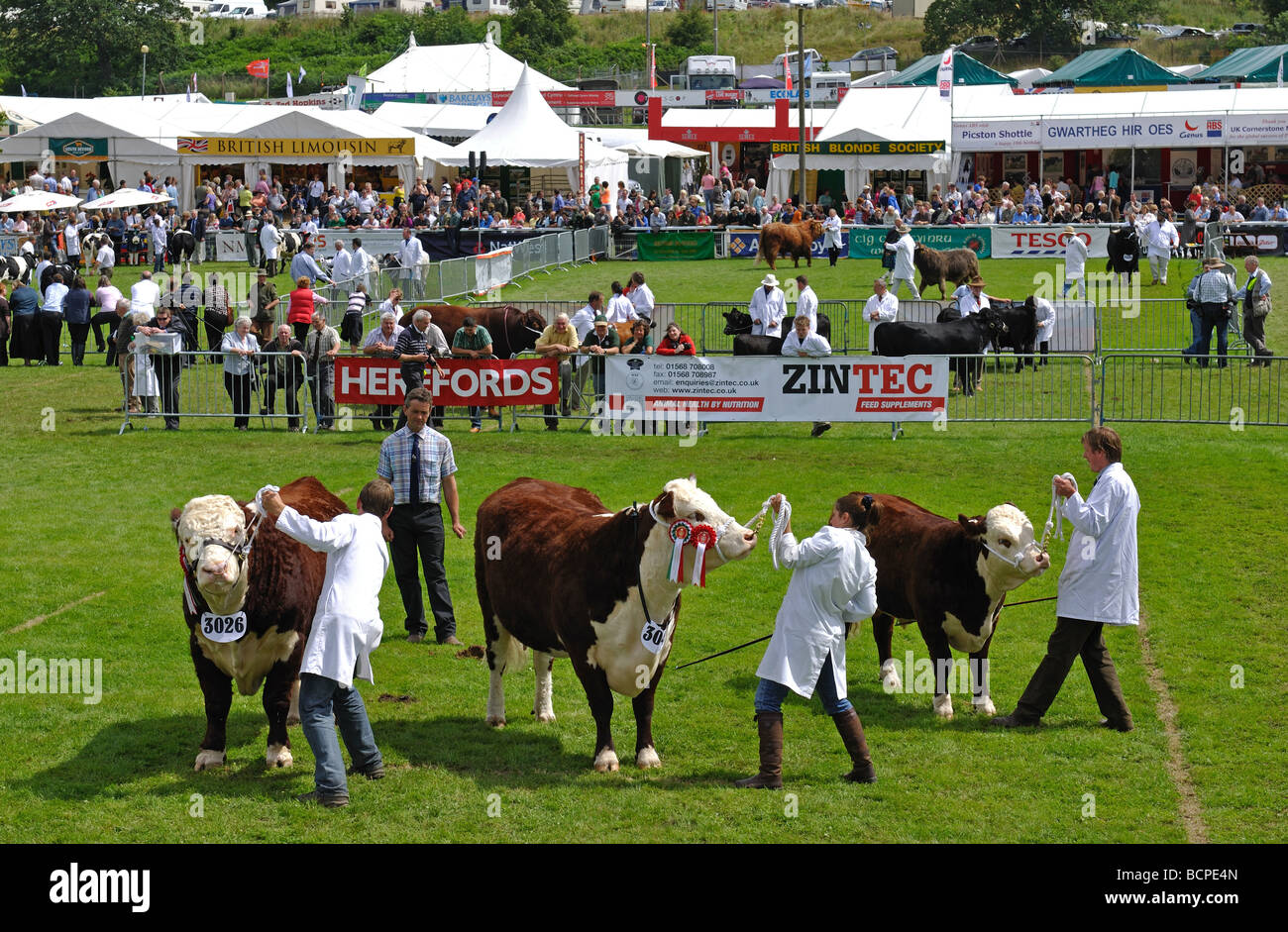 Il Royal Welsh Show, Builth Wells, Powys, Wales, Regno Unito Foto Stock