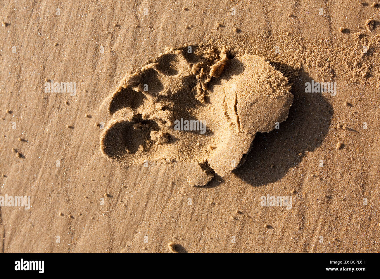 Ingombro con la sabbia Foto Stock
