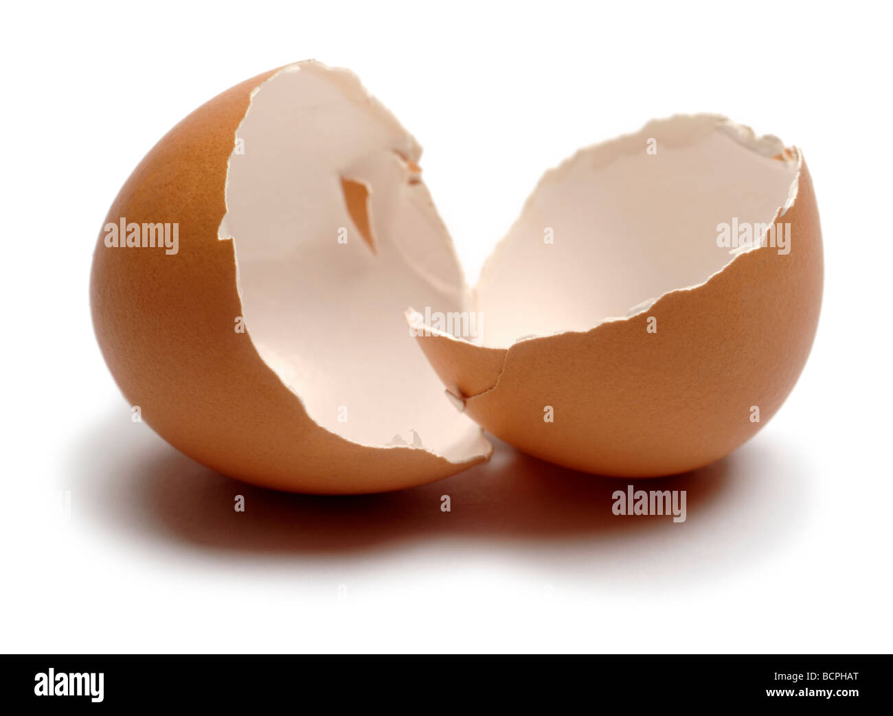 Guscio d'uovo Foto Stock
