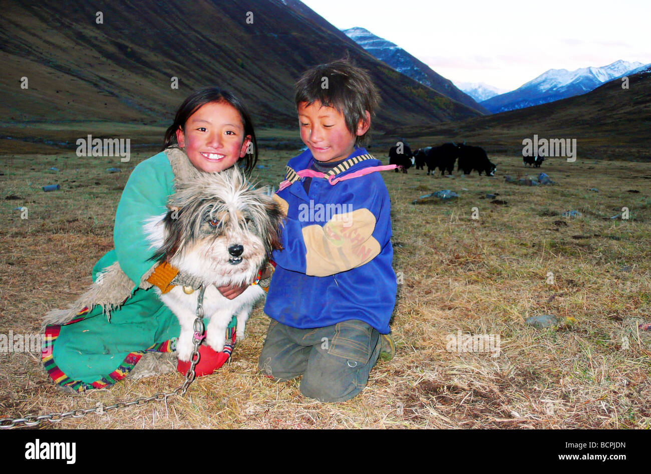 Due bambini tibetani giocando con Tibetan Terrier cucciolo, Jinlong montagna, Danba County, Garzê tibetano prefettura autonoma, Foto Stock