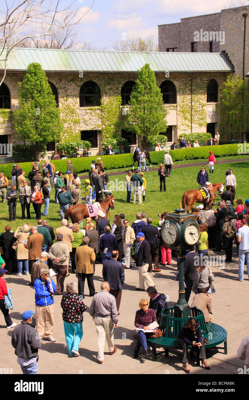 Spettatori guarda purosangue a piedi attraverso il paddock prima di una gara Keeneland Race Course Lexington Kentucky Foto Stock