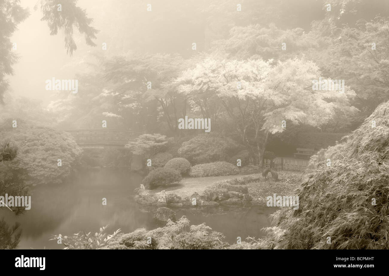 Portland Giardini Giapponesi nella nebbia con Autunno a colori Foto Stock