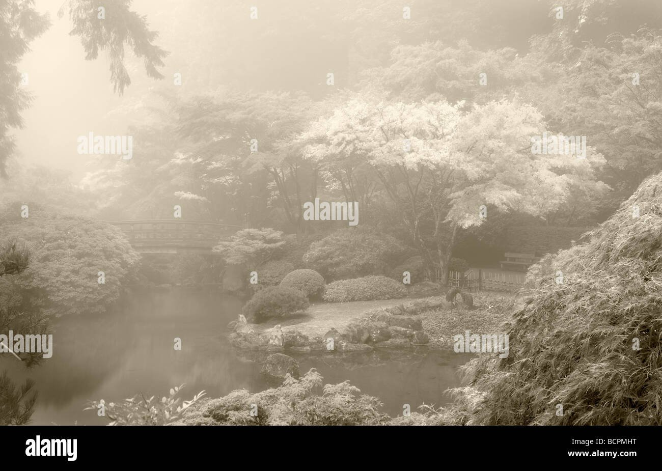 Portland Giardini Giapponesi nella nebbia con Autunno a colori Foto Stock