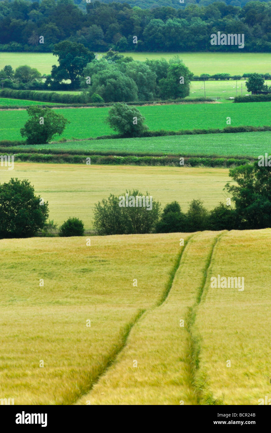 Campagna di laminazione nei pressi di Great Malvern Nr Malvern Hills Worcestershire Inghilterra REGNO UNITO Foto Stock