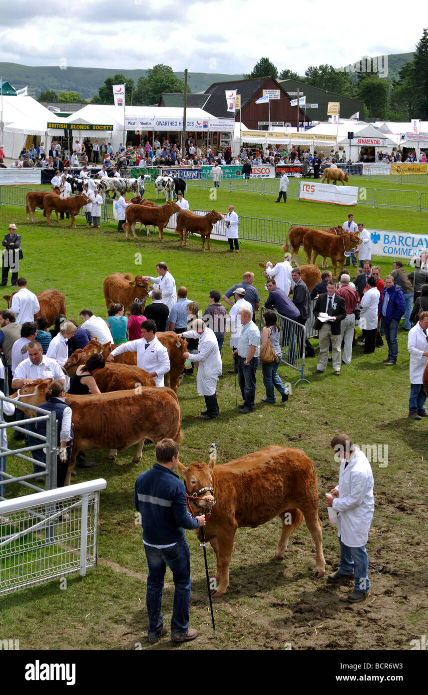 Il Royal Welsh Show, Builth Wells, Powys, Wales, Regno Unito Foto Stock