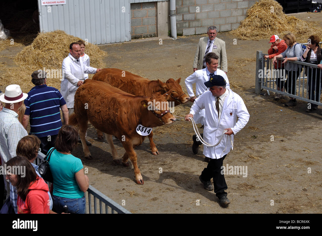 Il Royal Welsh Show, Builth Wells, Powys, Wales, Regno Unito Foto Stock