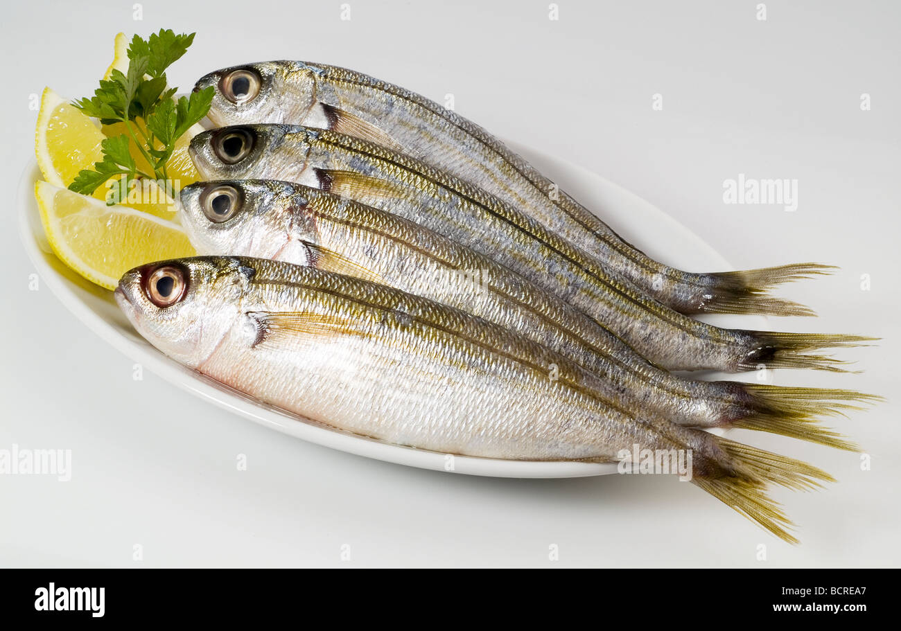 Fresh Boga orate di pesce su una piastra Foto stock - Alamy
