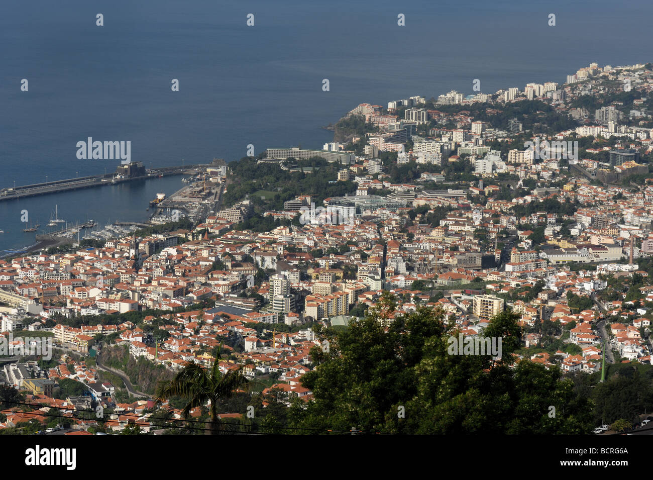 Funchal, la capitale di Madeira e Porto guardando giù dal Livramento Foto Stock