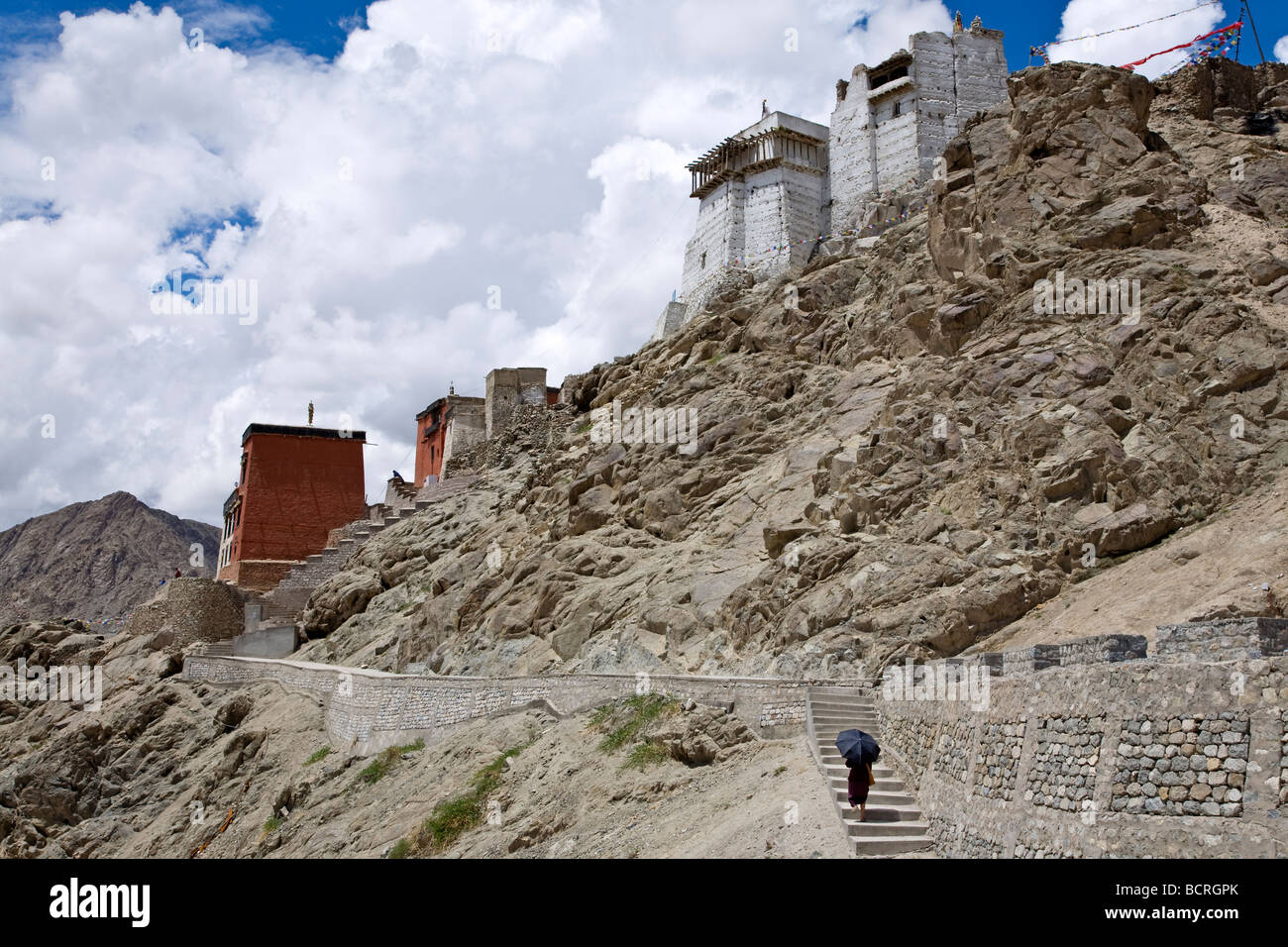 Namgyal Tsemo Gompa. Leh. Ladakh. India Foto Stock
