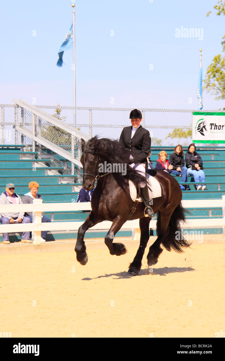 Dimostrazione di dressage durante la sfilata delle razze il Kentucky Horse Park Lexington Kentucky Foto Stock