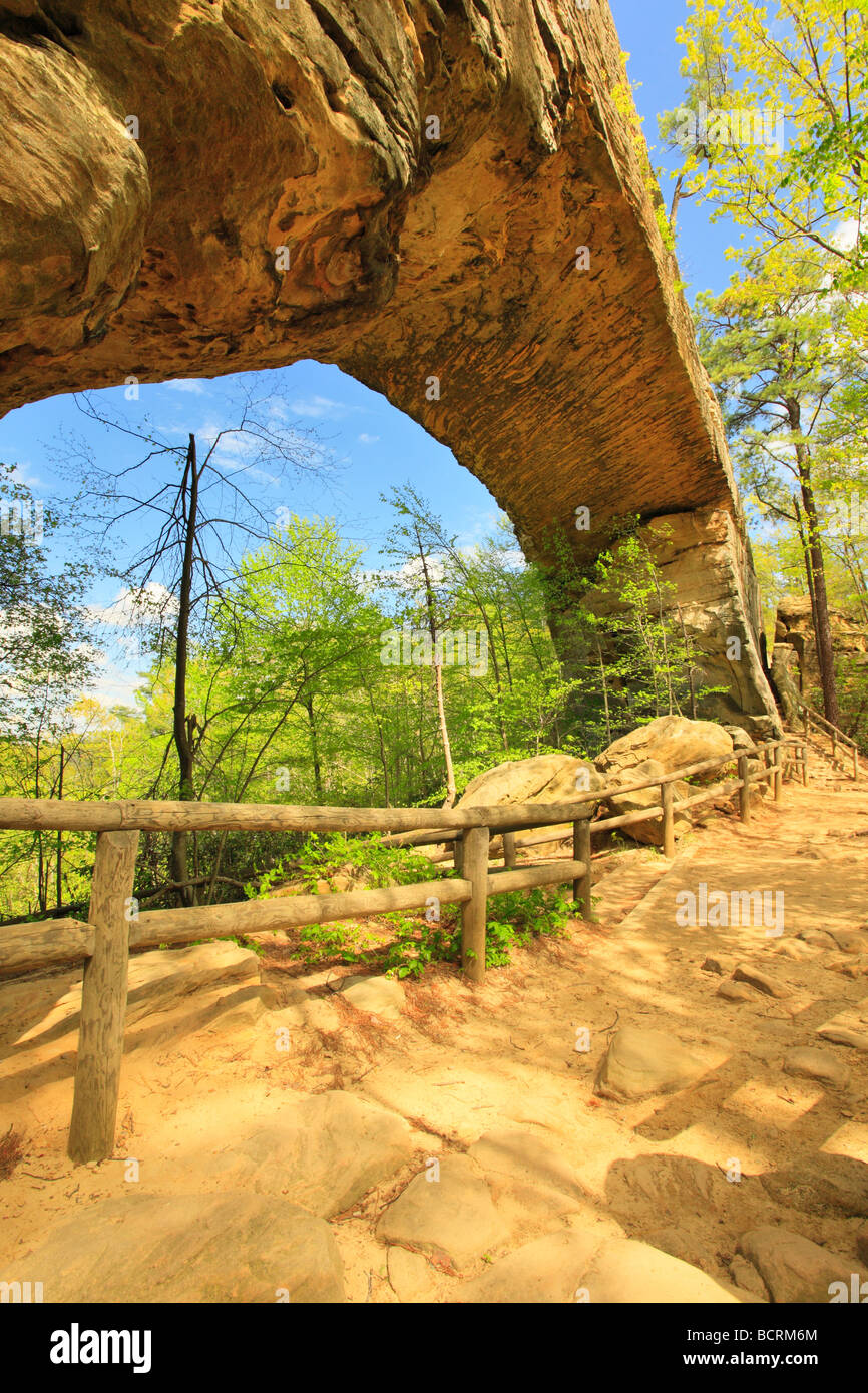 Il sentiero nella parte inferiore del ponte naturale ponte naturale membro Resort Park Slade Kentucky Foto Stock