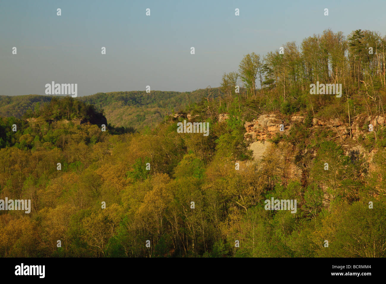 Daniel Boone Foresta , Whitly City, Kentucky Foto Stock