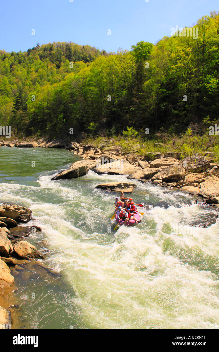 Rafters immergersi attraverso l O W Rapids Cumberland River grande sud Forcella Fiume Nazionale e area ricreativa Oneida Tennessee Foto Stock