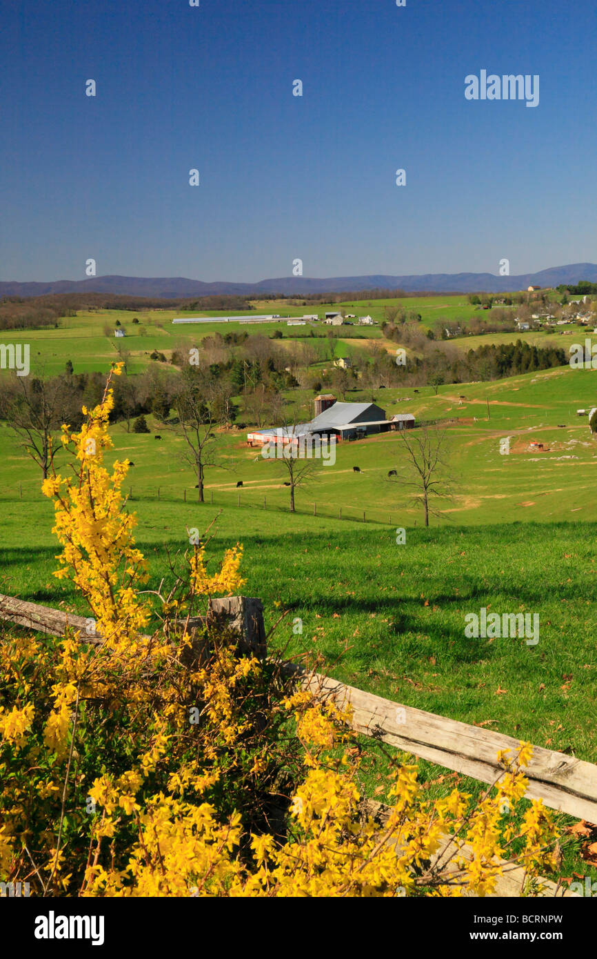 Agriturismo scena Springhill Shenandoah Valley Virginia Foto Stock
