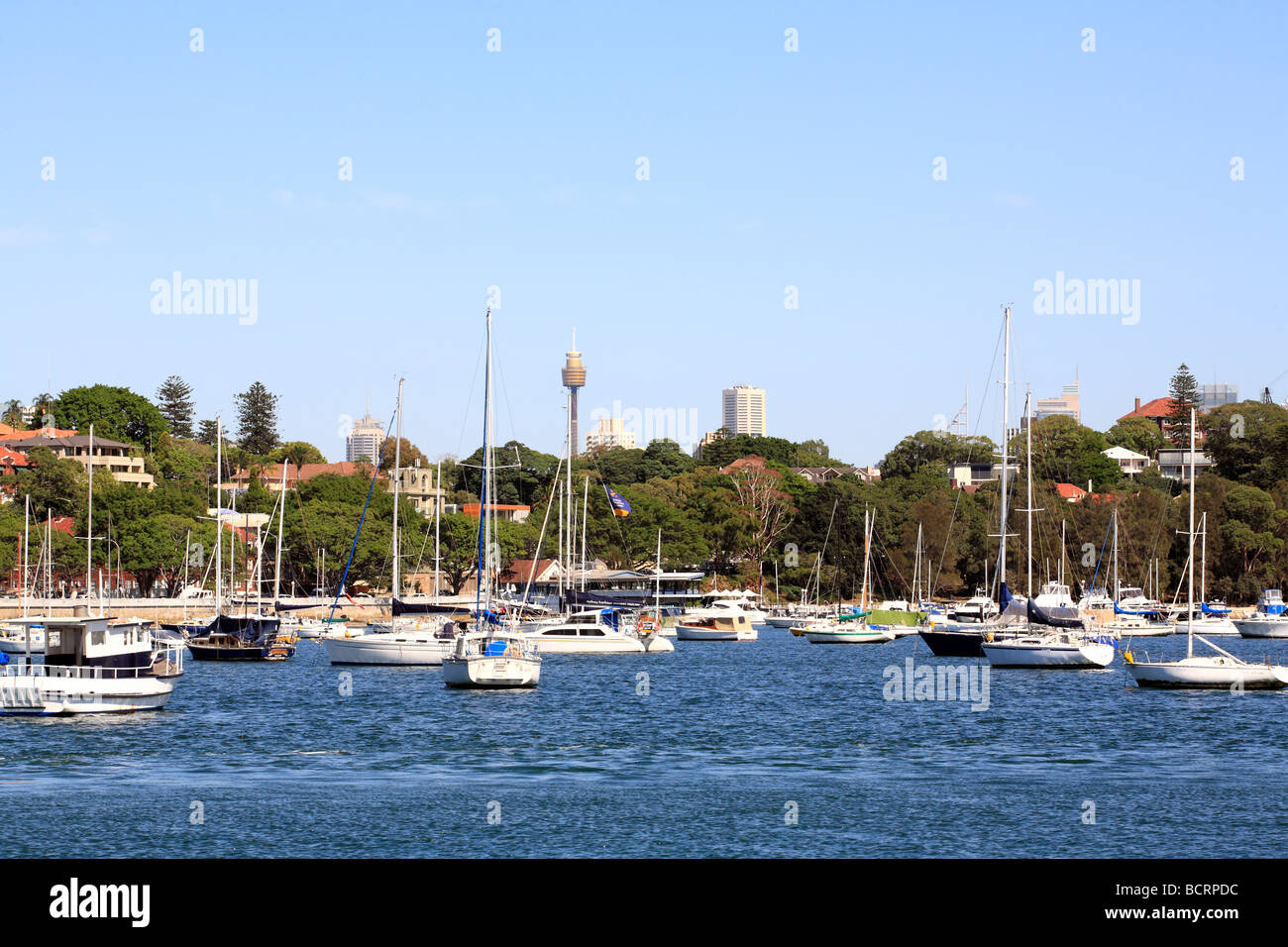 Sydney Harbour sobborgo di Rose Bay con lo skyline della città di Sydney e il Sydney Tower in background, Australia Foto Stock