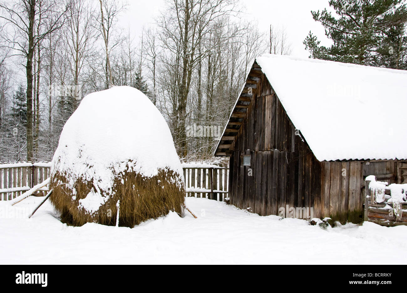 Inverno russo, Somino, regione di Leningrado, Russia Foto Stock
