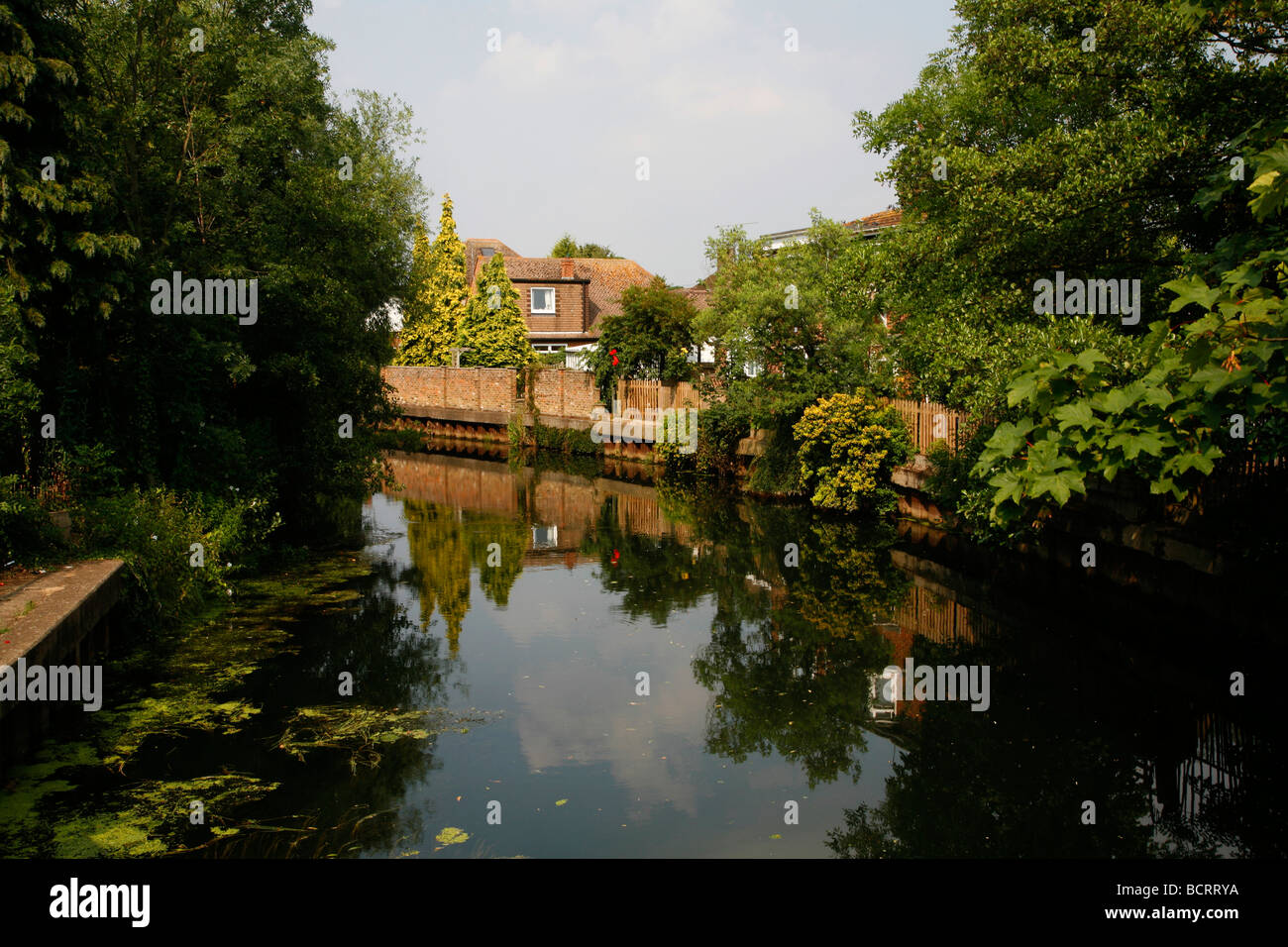 Fiume Mole a East Molesey, London, Regno Unito Foto Stock