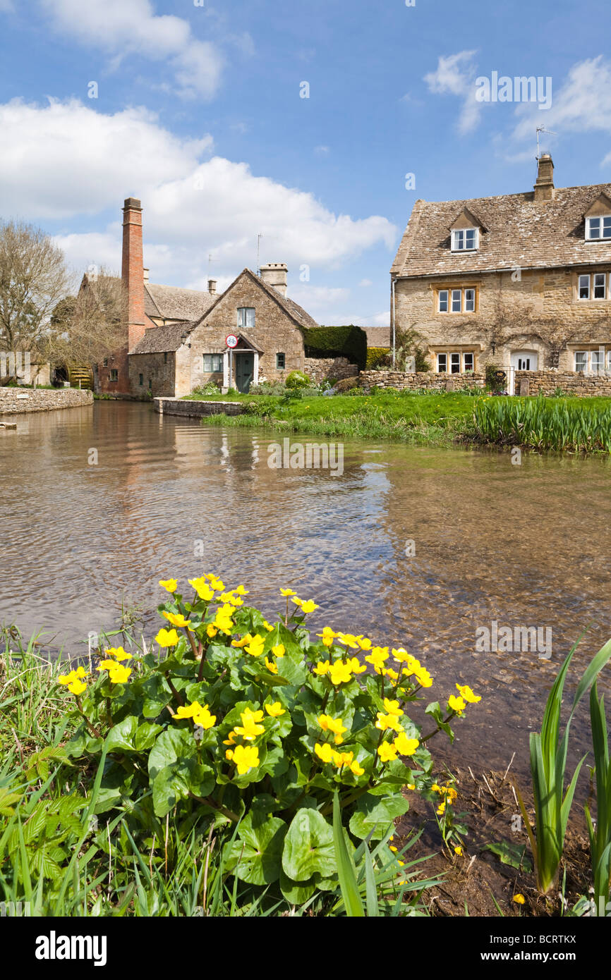 Primavera accanto al fiume occhio nel villaggio Costwold di Lower Slaughter, Gloucestershire Foto Stock