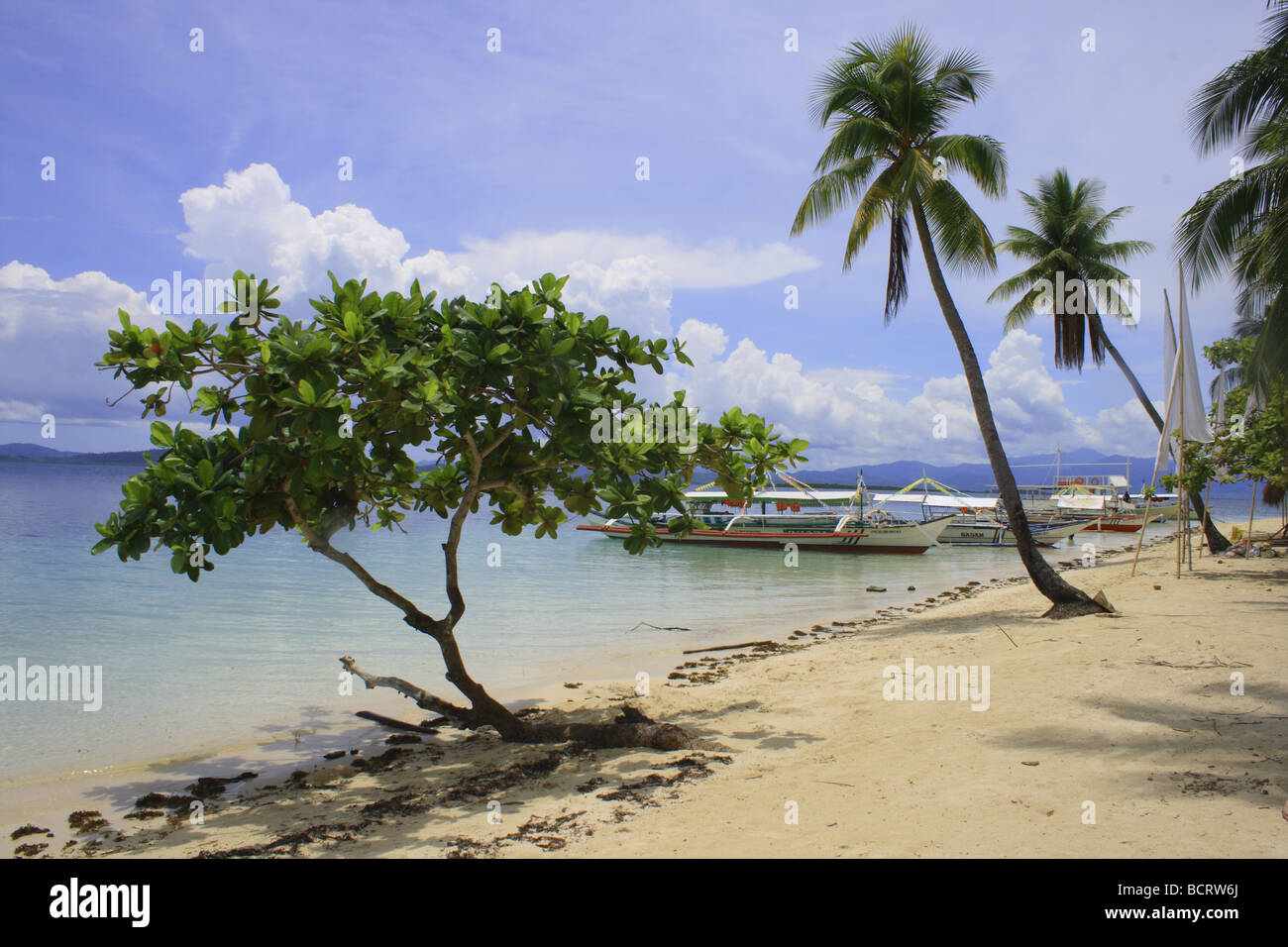 Paradise Island in PALAWAN FILIPPINE Foto Stock