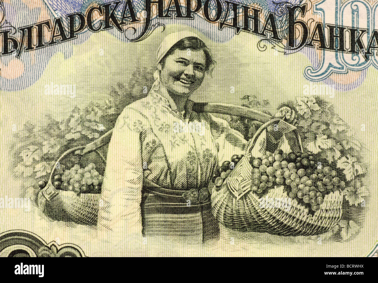 La donna la raccolta di uve su 100 Lev 1951 banconota dalla Bulgaria Foto Stock