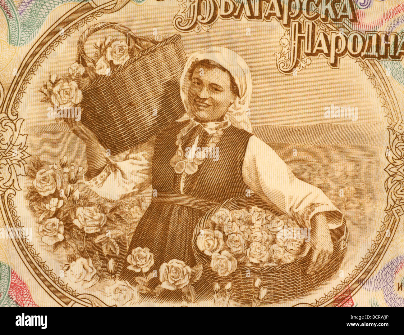 La donna la raccolta di rose sul 50 Lev 1951 banconota dalla Bulgaria Foto Stock