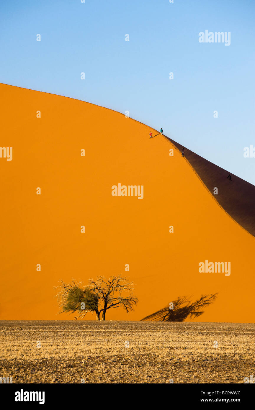 Africa Namibia Sossusvlei duna duna di sabbia boccola albero essiccato a secco sotto forma di ombra Vlei deserto terra di rifiuti Rifiuti deserto deserto freddo dura Foto Stock