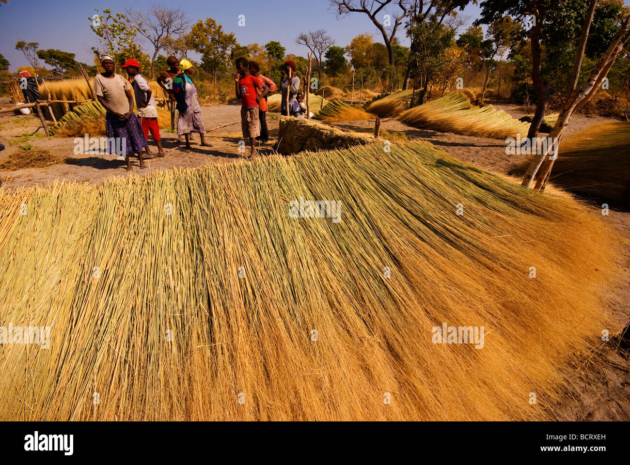 Venditori di paglia a Caprivi Strip, Namibia. Foto Stock