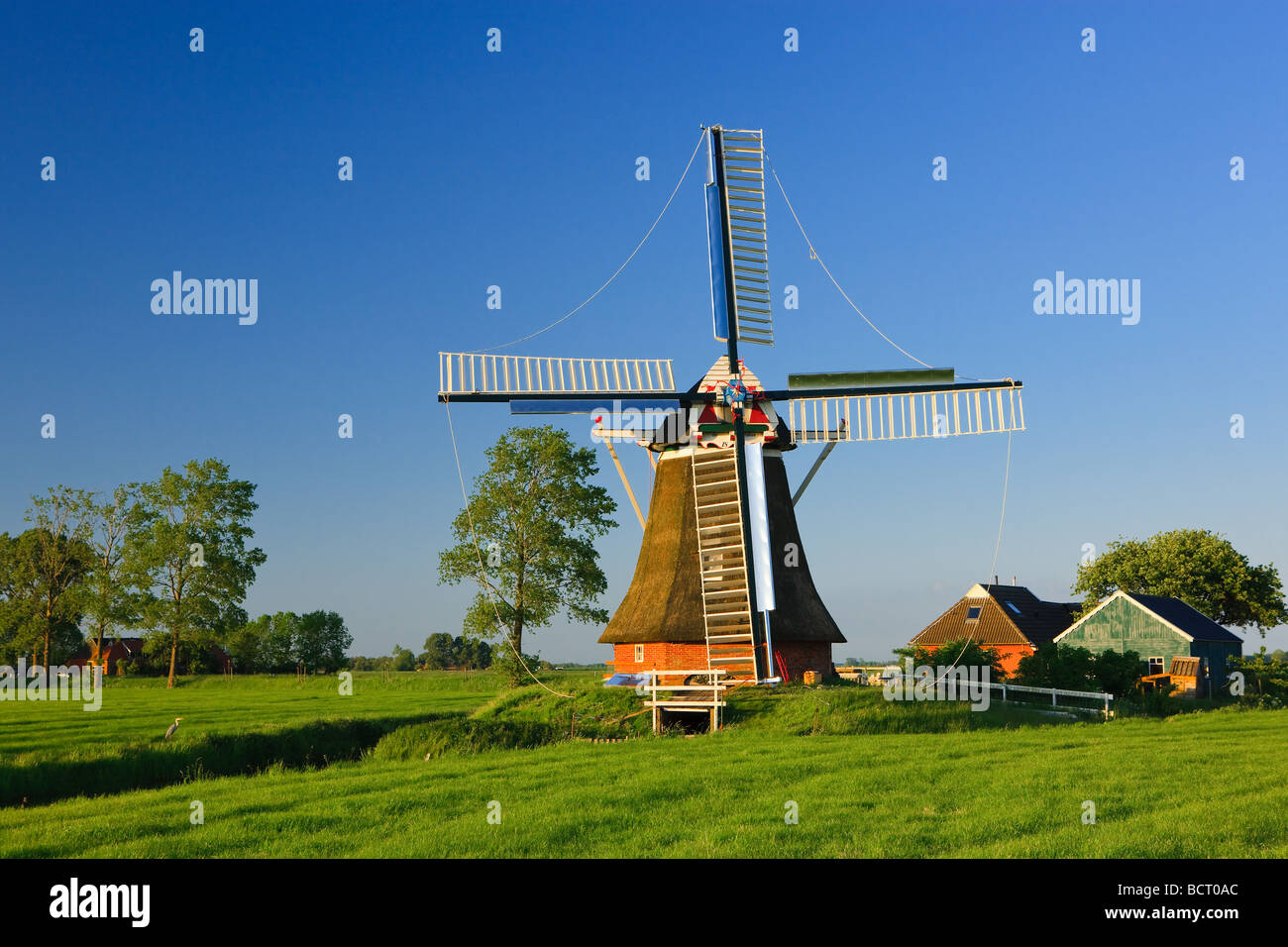 Il mulino a vento Eolus, Aduard ,Groningen, Paesi Bassi Foto Stock