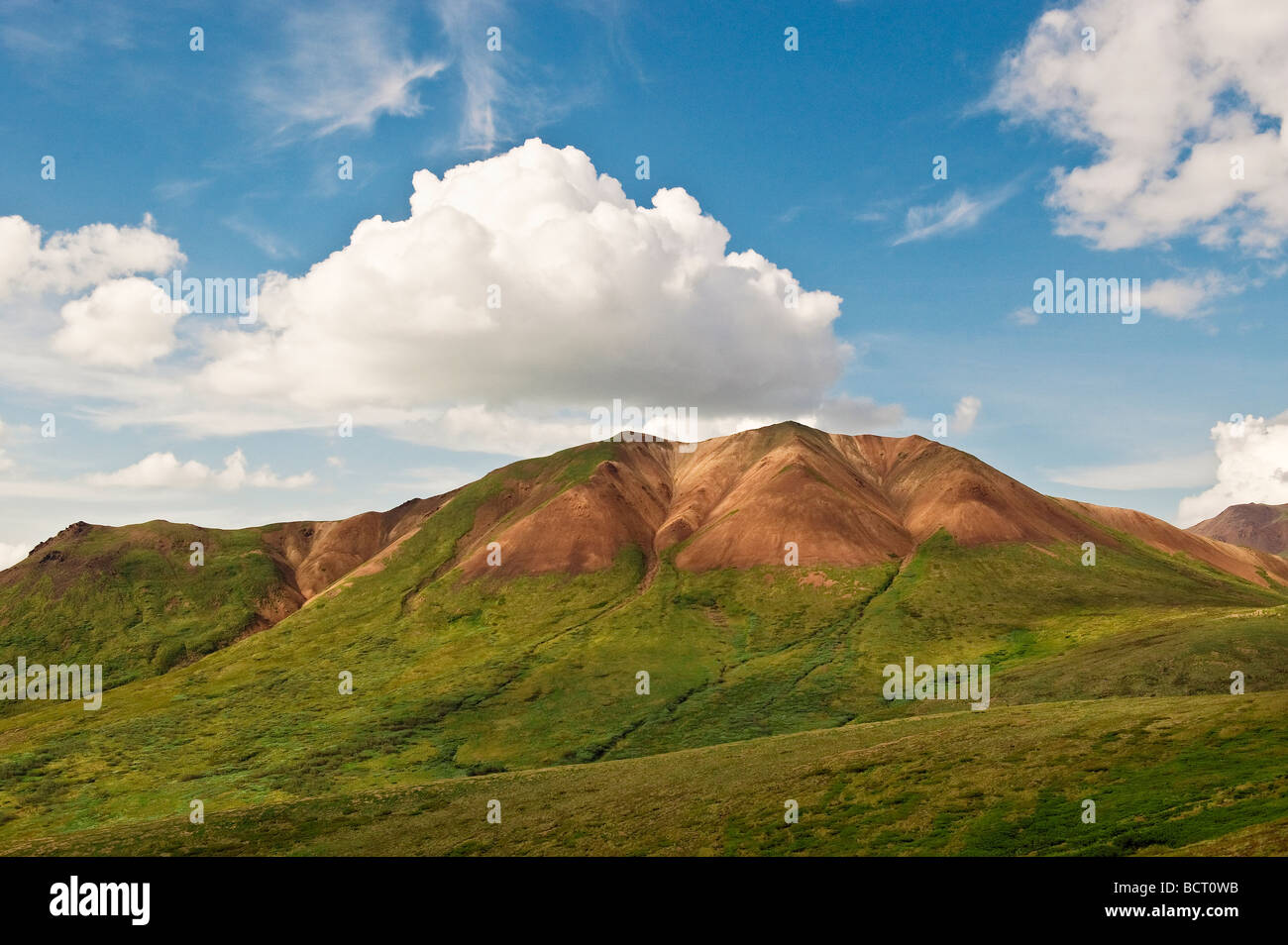 Paesaggio di montagna Parco Nazionale di Denali Alaska Foto Stock