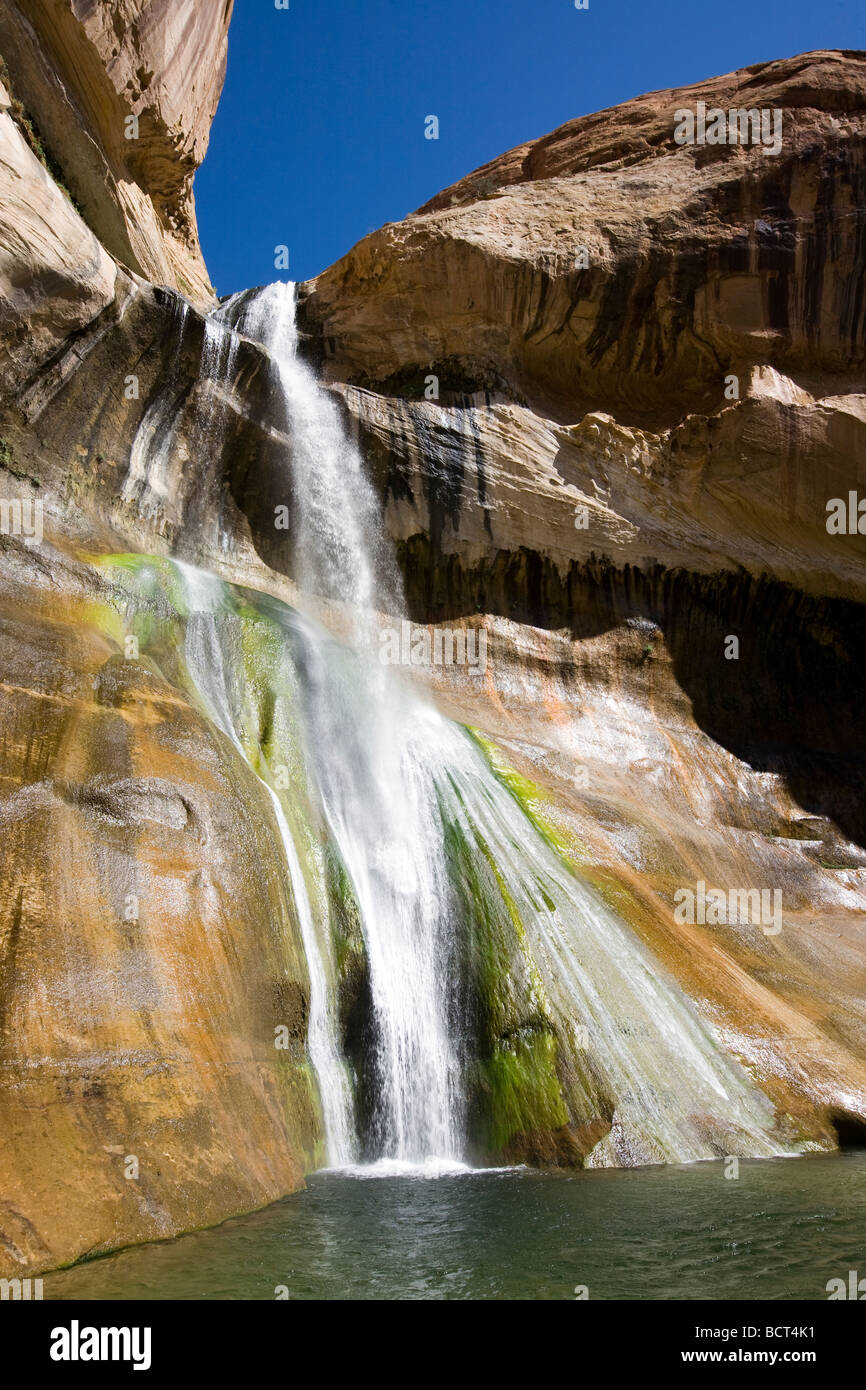 Calf Creek cascate inferiori in vitello Creek State Park, Utah, parte dell'Grand-Staircase Escalante monumento nazionale. Foto Stock
