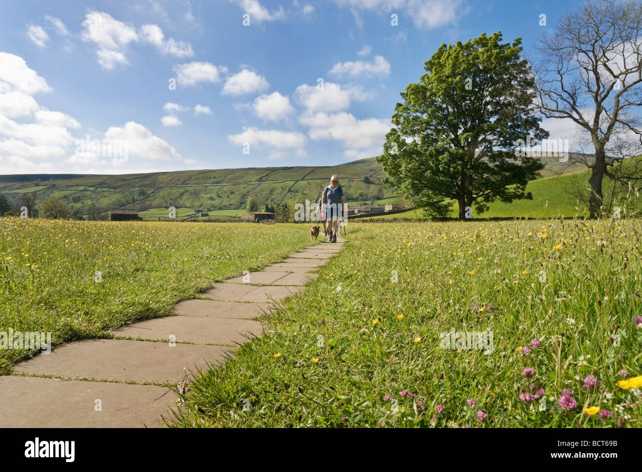 Fiori di Primavera in una tradizionale fieno prato in Swaledale, Yorkshire Dales National Park. La foto mostra un camminatore e un cane. Foto Stock