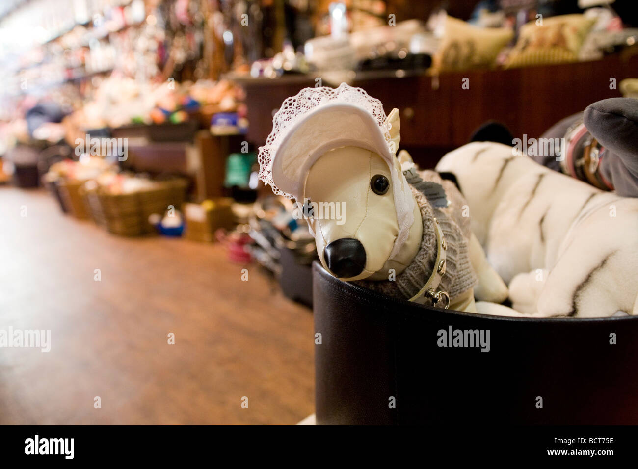 Un cane giocattolo in vendita presso La Boutique du Chien, Cannes, Francia, 27 maggio 2009 Foto Stock