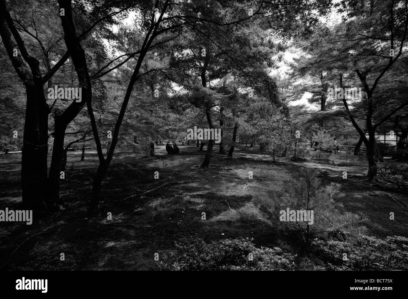 Kaiyu-shiki (giapponese passeggiando giardino). Kinkaku-ji complesso ("Tempio d'oro Padiglione'). Il protocollo di Kyoto. Kansai. Giappone Foto Stock