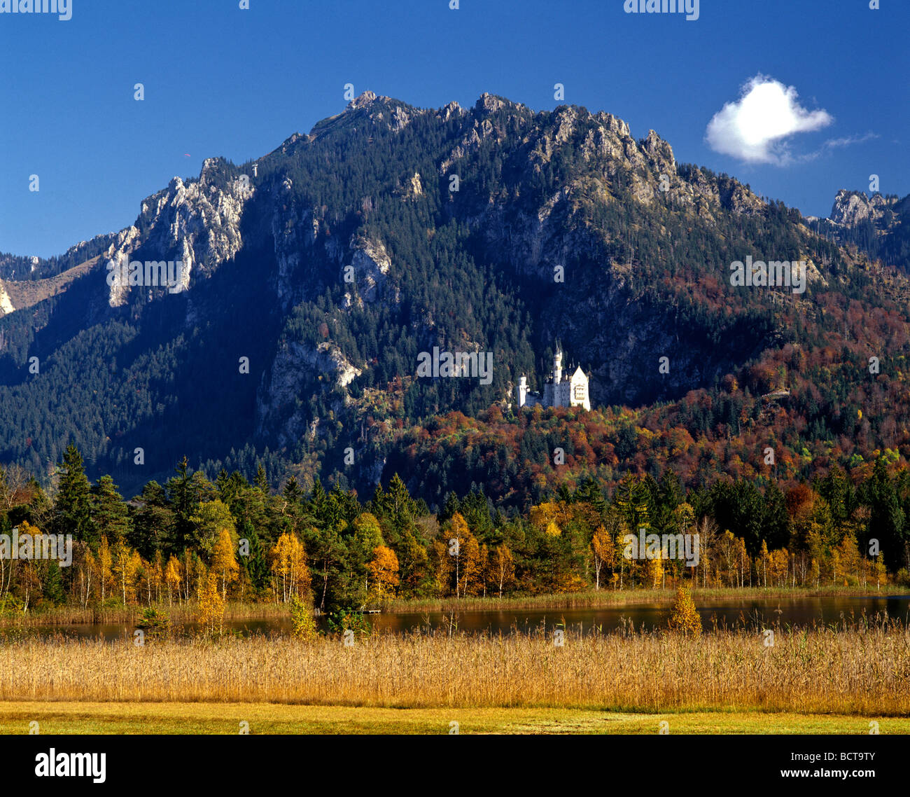 Schloss Castello di Neuschwanstein, Schwanensee lago, Fuessen, Mt. Tegelberg, autunno, Alta Baviera, Baviera, Germania, Europa Foto Stock