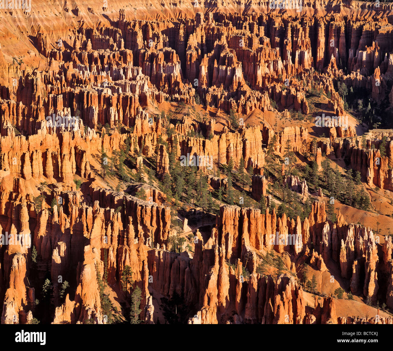 Anfiteatro, Parco Nazionale di Bryce Canyon, erosione, Utah, Stati Uniti d'America Foto Stock