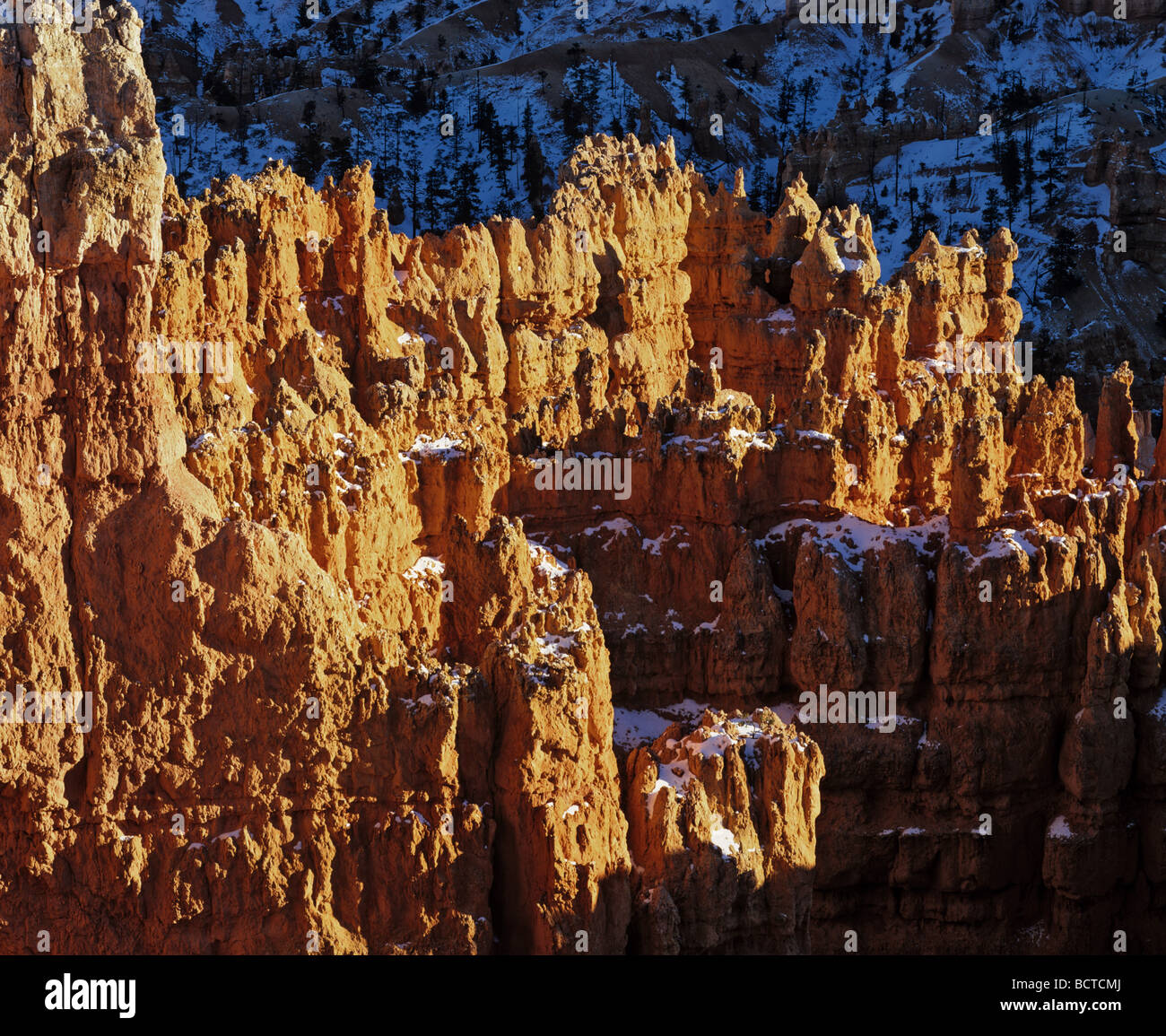 Parco Nazionale di Bryce Canyon, erosione del paesaggio, Utah, Stati Uniti d'America Foto Stock