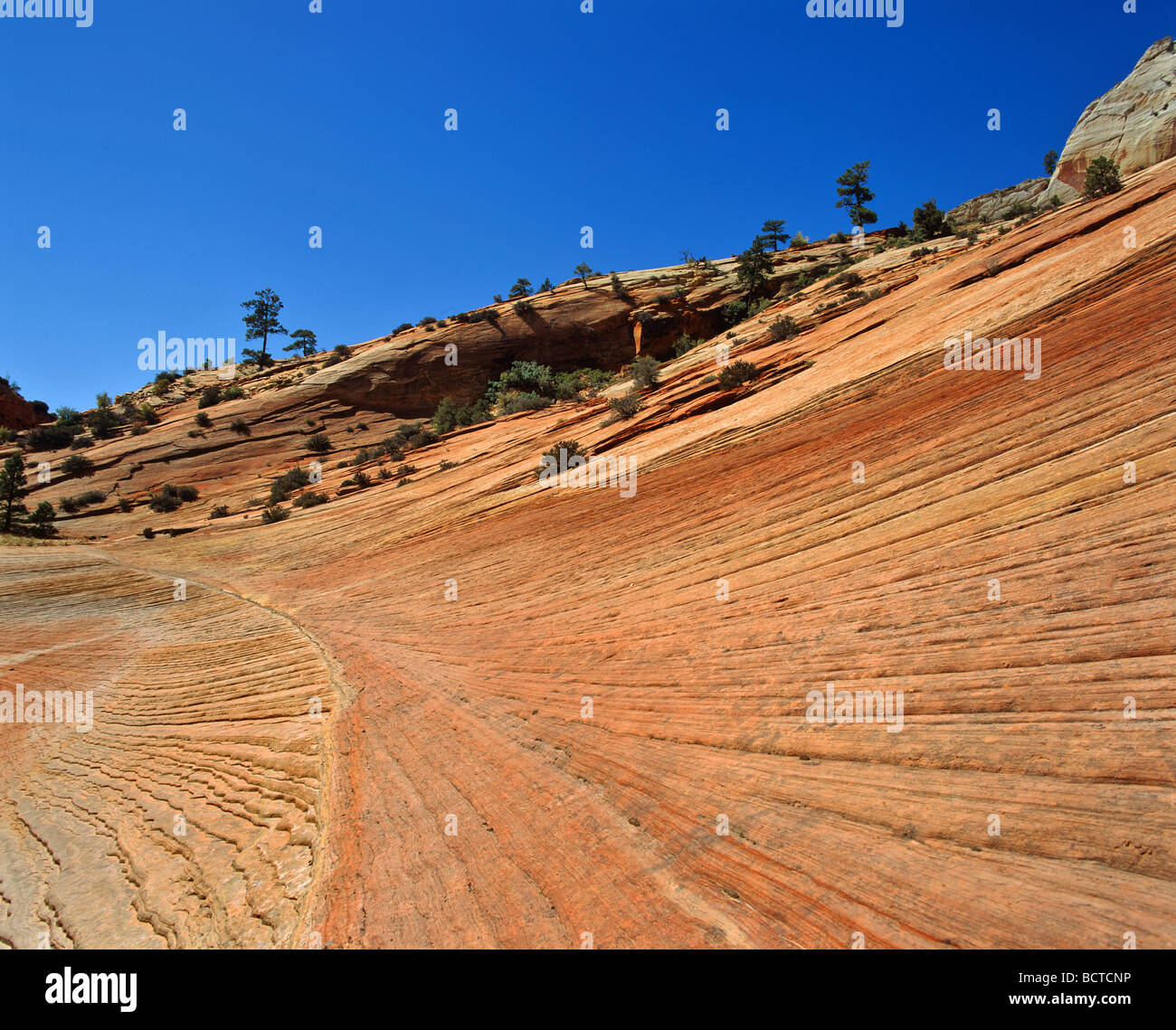 Struttura in pietra arenaria, Parco Nazionale Zion, Utah, Stati Uniti d'America Foto Stock
