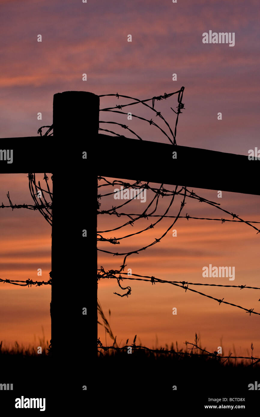 La silhouette di un fencepost e filo spinato contro un tramonto della prateria Foto Stock
