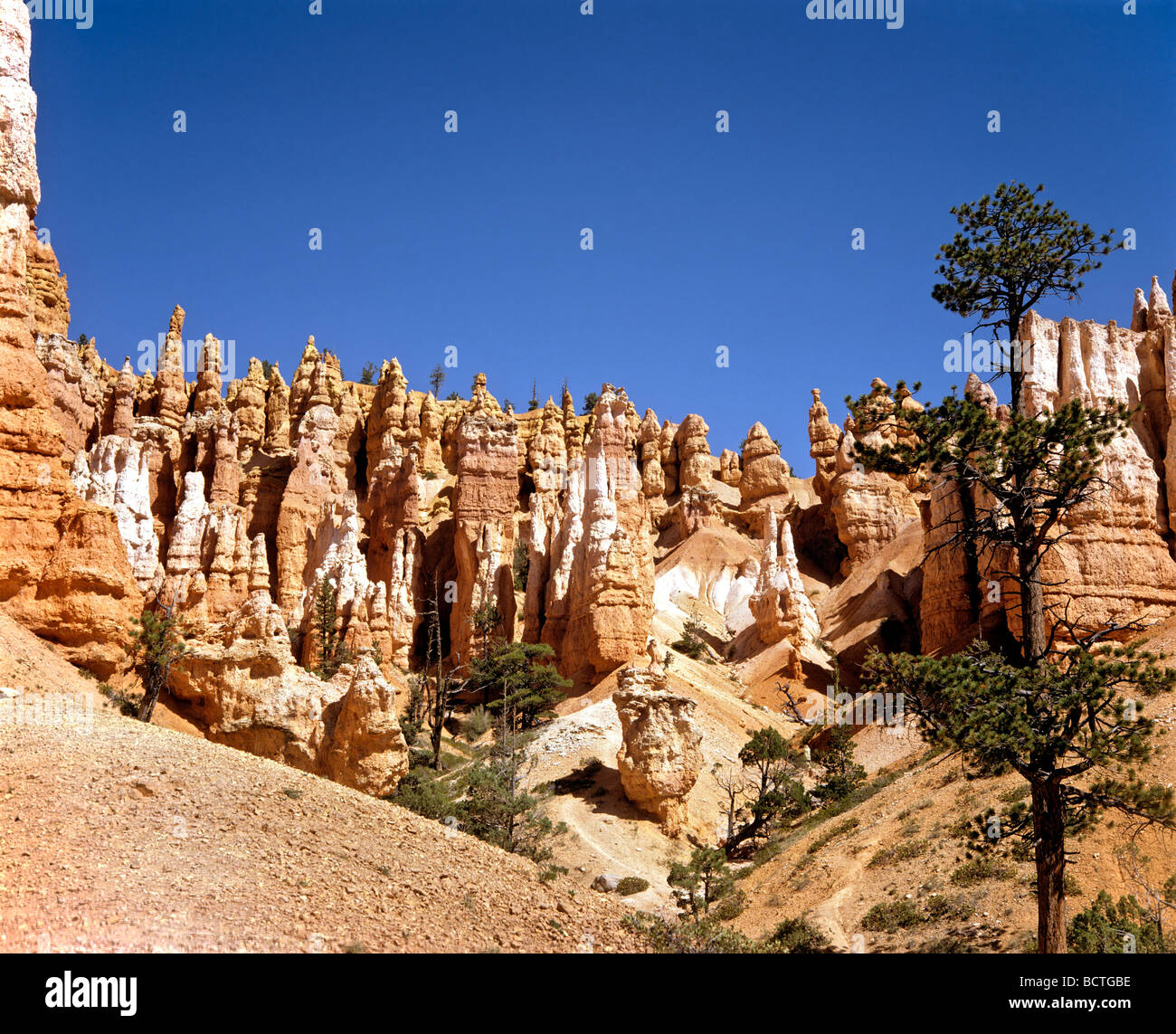 Parco Nazionale di Bryce Canyon, Navajo Trail, erosione, Utah, Stati Uniti d'America Foto Stock