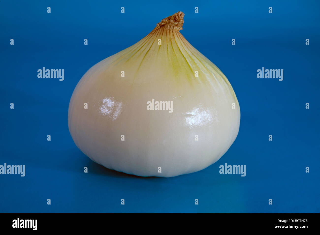 Un dolce Vidalia Onion dalla Georgia Foto Stock